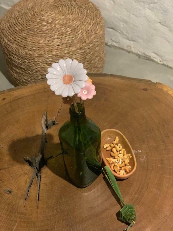 Villa Viana 지조카 데 제리콰콰라 외부 사진